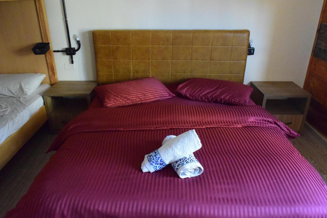 D1 & Guest house Tirana
